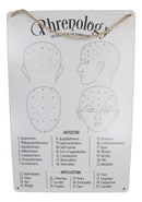 Gothic Wicca Phrenology Alternative Science Of Human Mind Metal Wall Sign Decor