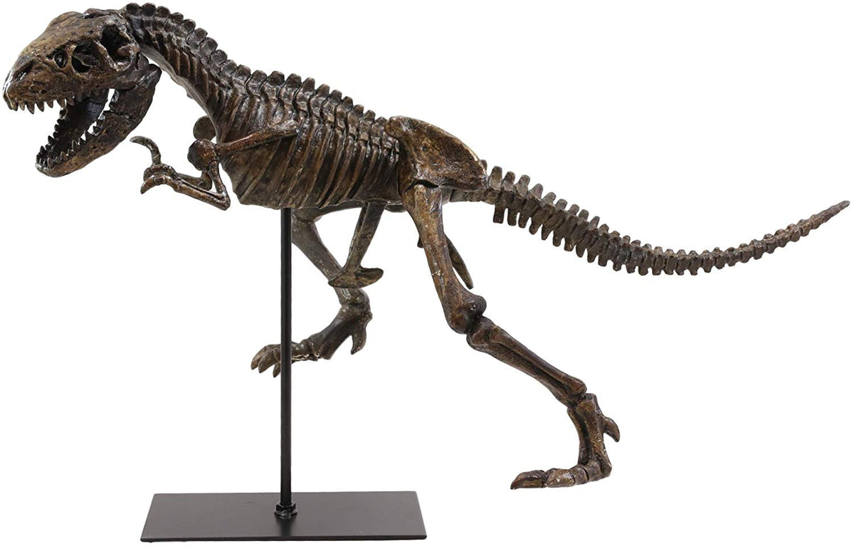 Ebros  Jurassic Dinosaur Tyrannosaurus Rex Fossil Skeleton Statue On Museum Mount 24"L - Ebros Gift