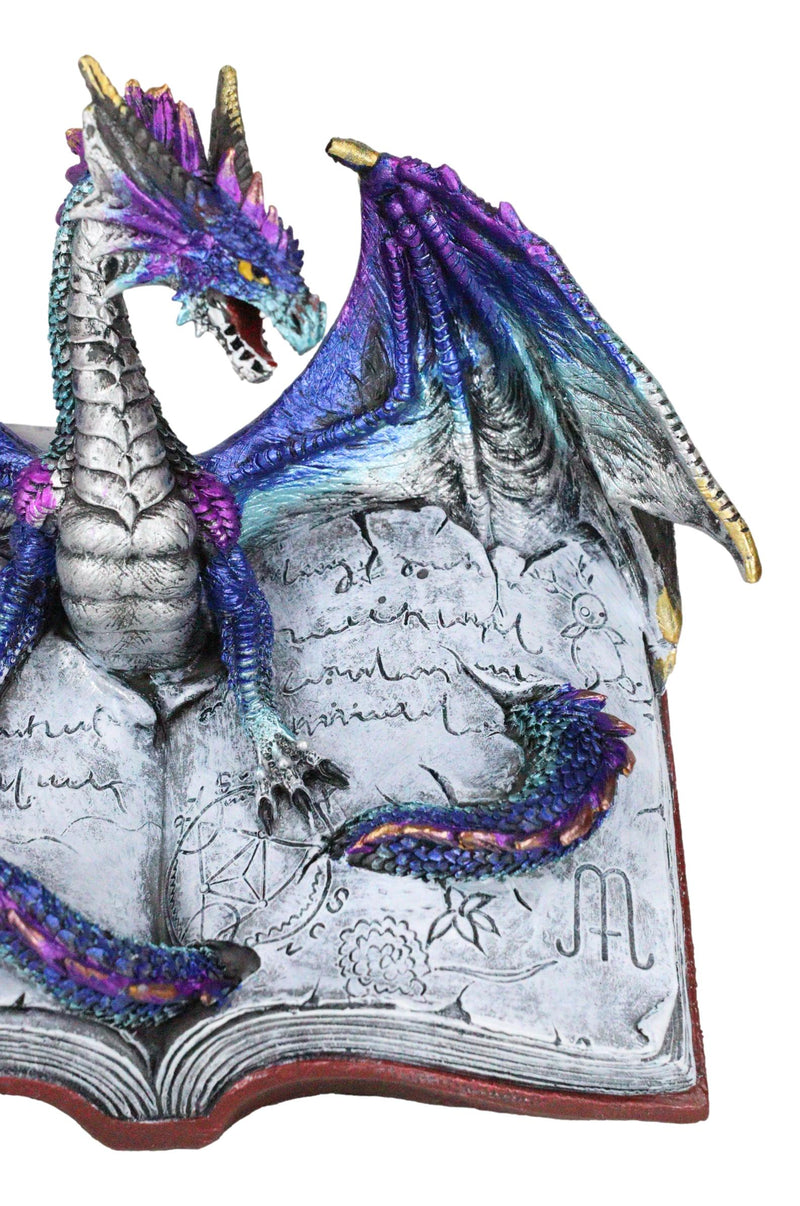 Guardian Of Bibliography Purple Blue Dragon Emerging Out Of Spell Book Figurine