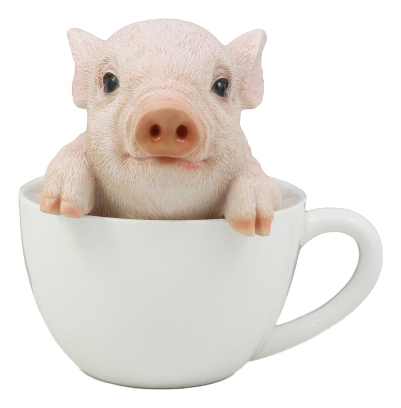 Ebros Adorable Teacup Pig 5.25"H Realistic Animal Collectible Statue with Glass Eyes