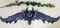 Ebros Large 34.25"Wide Medieval Fantasy Midnight Blue Blood Overwatch Dragon With Open Wings Wall Decor Plaque Entrance Overdoor Pediment Door Hanger Dragons And Dungeons Halloween Wall Art Decorative