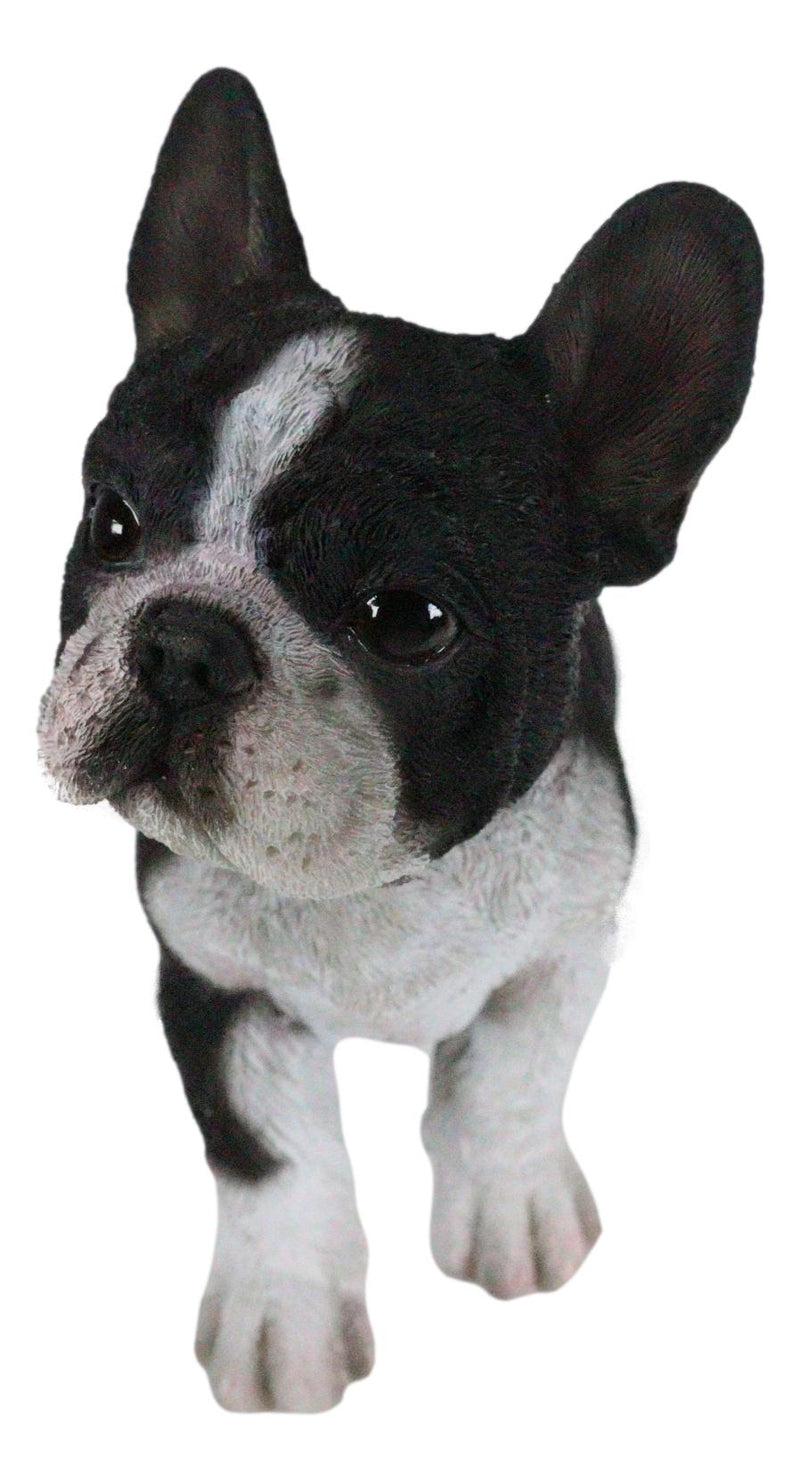 Realistic Lifelike Black French Bulldog Frenchie Puppy Dog Figurine Pet Pal