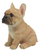 Realistic Lifelike French Bulldog Puppy Statue 6"H Cute Frenchie Dog Figurine
