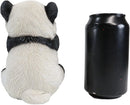Ebros Wise See Hear Speak No Evil Giant China Pandas Set of 3 Figurines 5.75"H