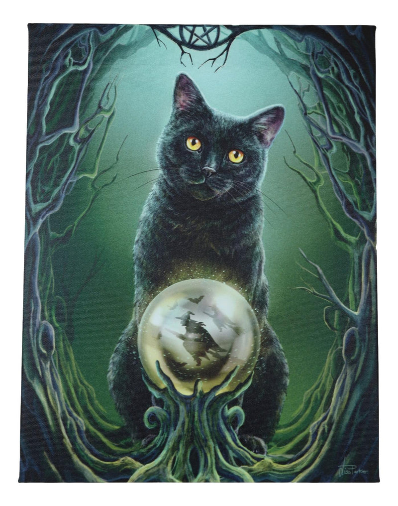 Rise Of The Witches Black Cat By Scrying Ball Wood Framed Canvas Wall Decor