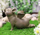 Zen Yoga Flying Pig Angel Hog Heavens In Cobra Stretch Pose Rustic Statue Decor