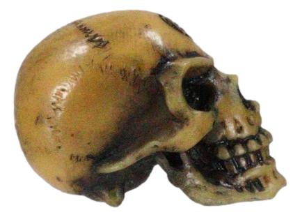 Wicca New Age Alchemy Emblem Lapillus Worry Token Skull Gothic Mini Figurine