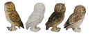Realistic Colorful Nocturnal Snowy Barn Great Horned Owl Birds Figurine Set of 4