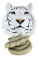 15"H Large Blue Eyed Siberian Bengal White Tiger Bust Desktop Plaque Figurine