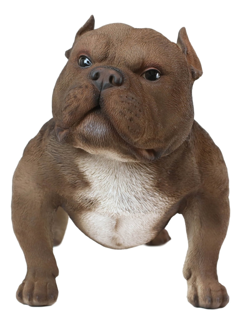 Ebros Animal World Realistic American Bully Dog Home Decor Resin Figurine 18"L