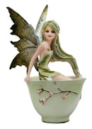 Ebros Amy Brown Teacup Matcha Green Tea Fairy In Teacup Figurine Faerie Garden 6"H