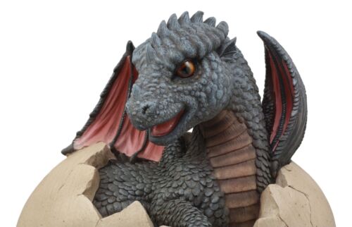 Large Nightfury Baby Dragon Hatchling In Egg Statue 10"Long Legends And Fantasy