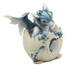 December Birthstone Dragon Egg Statue Onyx Gem Birthday Dragon Hatchling Figure