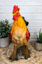 Decorative Rooster Chicken Sunshine Crow Country Barnyard Home Decor Figurine