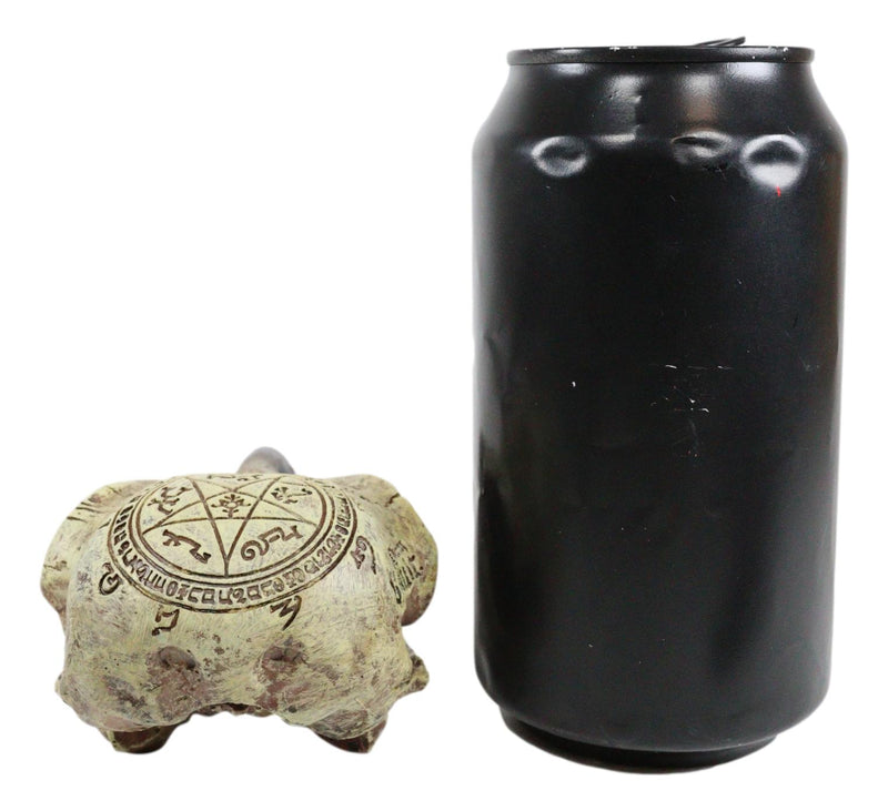 Ebros Pentagram Omega Alchemy Raven Crow Skull Figurine with Carved Rune Symbols