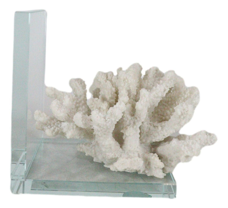 Nautical Coastal Marine White Sea Finger Corals Acrylic Glass Bookends Set