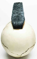 Revolution Punk Rock N Roll Hairstlye Funky Skull Skeleton Figurine Sculpture