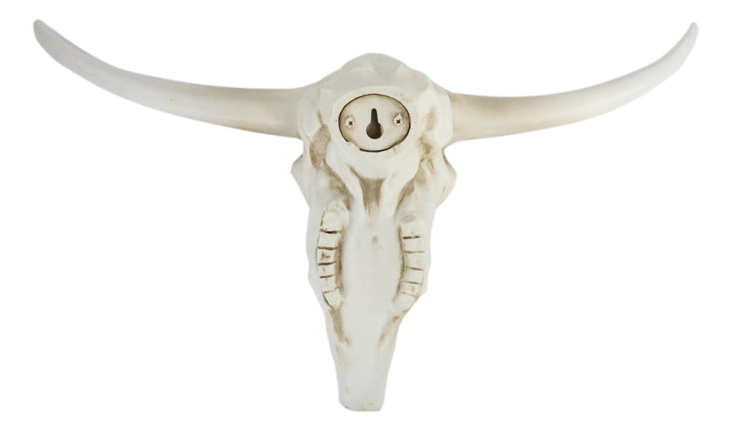 Rustic Western Texas White Longhorn Steer Cattle Cow Skull Wall Decor ...