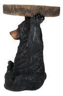 Rustic Western Black Bear Cub Holding Faux Wood Slice Table Stand Figurine