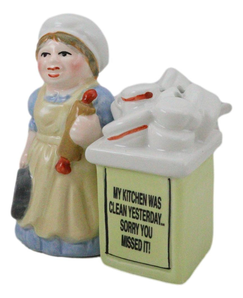 Mother With Dishes Chores 'My Kitchen Was Clean Yesterday' Salt Pepper Shakers