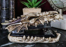 Ebros Skeleton Bone Dragon Head Stapler 6.75"L Office Desktop Accessory Decor