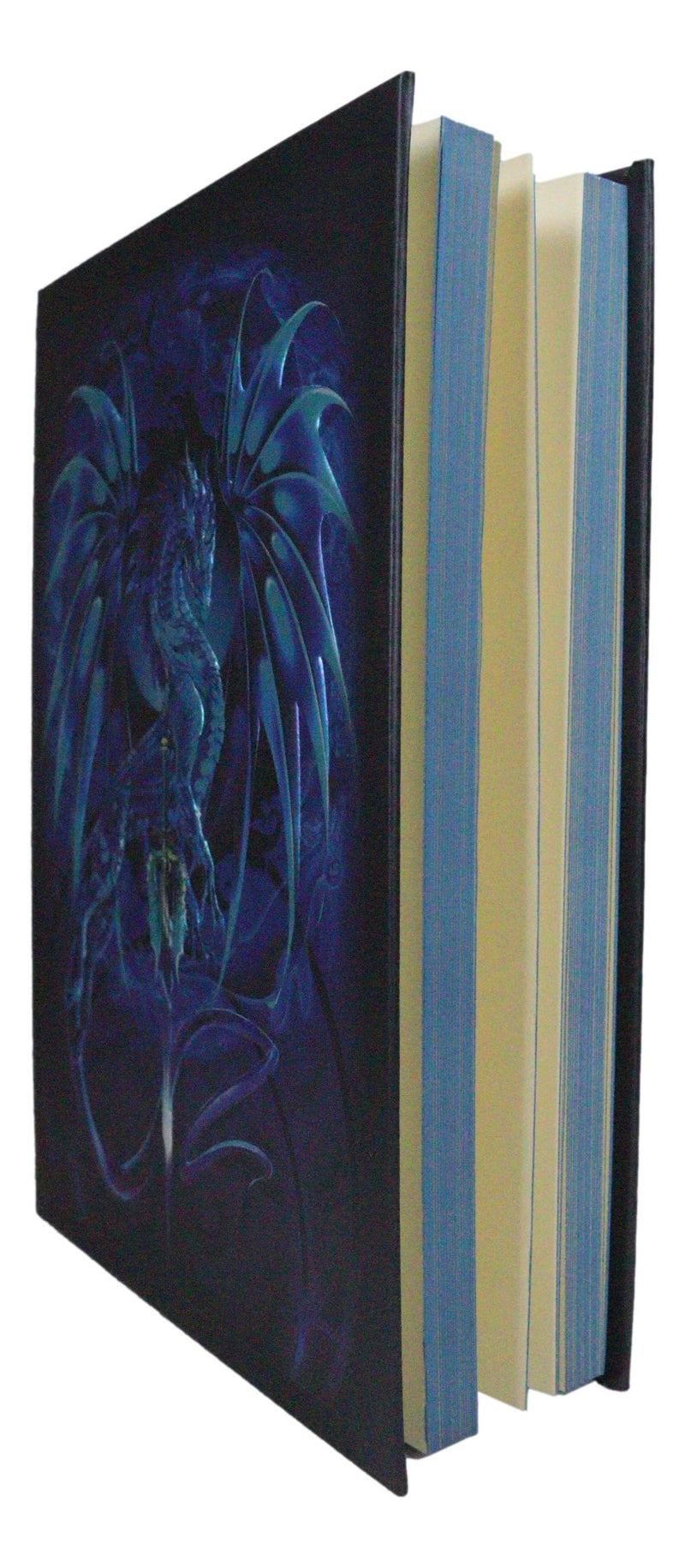 Dragon's Lair Fantasy Sea Blade Dragon Embossed Journal Diary Blank Notebook