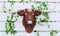 Large Texas Longhorn Bull Steer Cow Wall Decor Wild Cattle Beast 3D Art 34"L