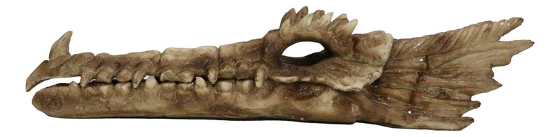 Dragon Fossil Skull Skeleton Incense Burner Box With Purple Faux Crystal Geode