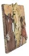 Rustic Western Chestnut Palomino Horses Double Toggle Switch Plate Cover 2pc Set