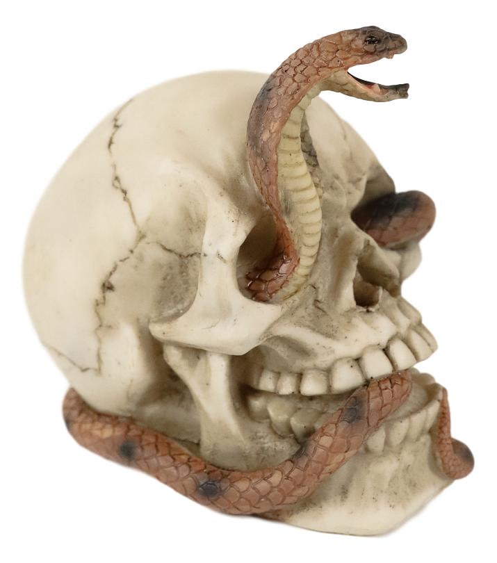 Ebros Cranium Skeleton Cobra Snake Habitat Skull Statue Figurine 4.25"H