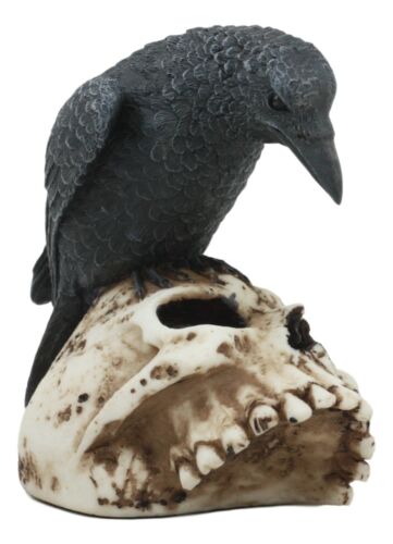 Foreboding Dark Crow Raven On Skull Statue 5"Tall Ossuary Scavenger Raven Bird