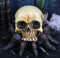 Creepy Crawler Tarantula Arachnid Skulltula Spider Bizarre Skull Figurine Decor
