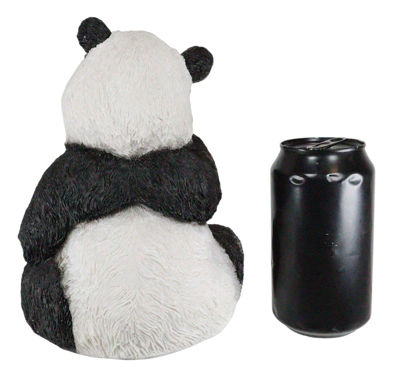 Adorable Giant Panda Bear Cub Eating Bamboo Leaves Figurine With Glass Eyes
