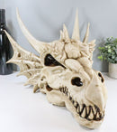 Large Elder Dragon Skull Statue Legendary Erathia Fossil Skeleton 18"L Figurine
