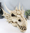 Large Elder Dragon Skull Statue Legendary Erathia Fossil Skeleton 18"L Figurine