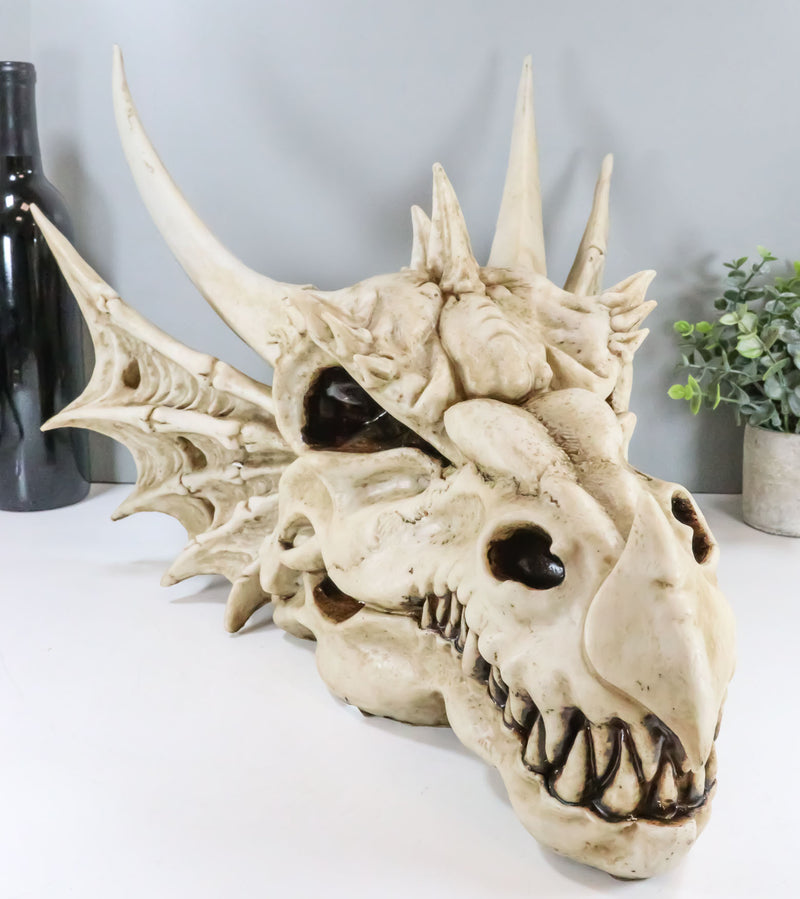 Dragon Skull Decoration (Large) - Fantasy Horned Dragon for Home