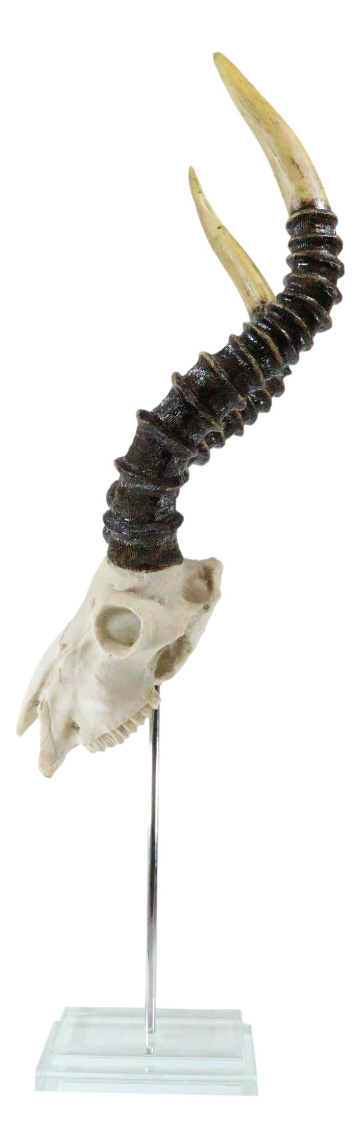 Vintage Faux Taxidermy Kudu Antelope Skull On Museum Pole Mount With Glass Base