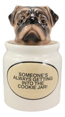 Ceramic Adorable Hiding Thief Pugsie Pug Dog Cookie Jar With Air Tight Lid 9"H