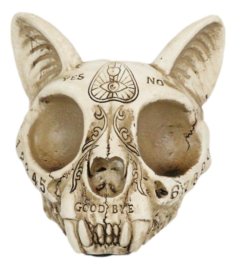 Paranormal Ouija Spirit Medium Cat Skull Ashtray Figurine Supernatural Occultist