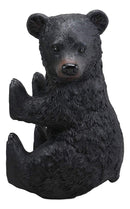 Ebros Large Stinky Stool Pooping Black Bear Toilet Paper Holder Figurine 13.5"Tall Powder Room Bathroom Wall Decor Plaque For Rustic Cabin Hunting Lodge Animal Bears Sculpture