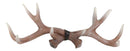 Ebros White Rustic 10 Point Stag Deer Antlers Rack Wall Plaque 17"W Coat Hooks