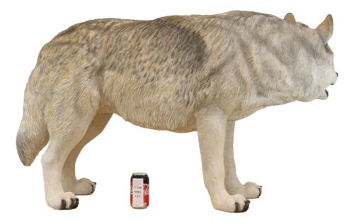 Ebros Large 4 Feet Long Wildlife Alpha Gray Wolf Statue Realistic Timber Wolf Decor