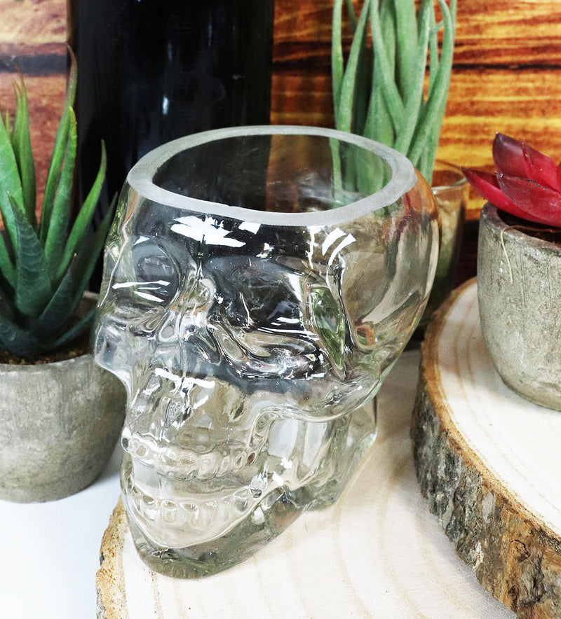 Ebros Skeleton Skull Glass Bowl Drink Stationery Office Holder Figurine Collectible