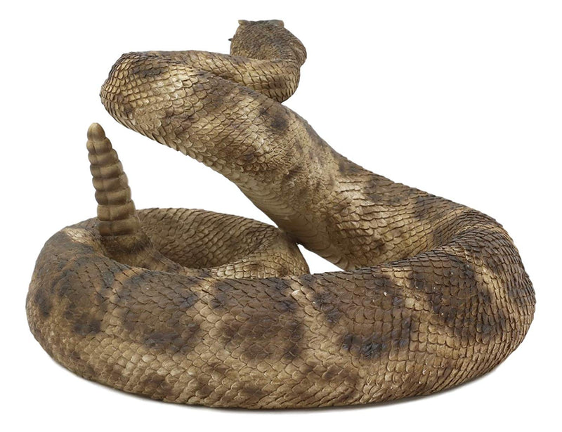 Ebros Realistic Diamondback Rattlesnake Hand Painted Taxidermy Statue 8.25"Long