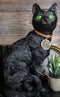 Wicca Witchcraft Green Eyed Moon Black Cat With Pentagram Necklace Figurine