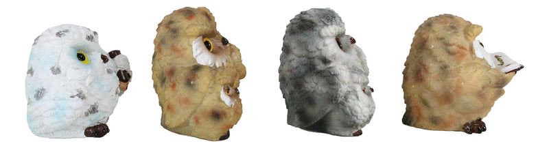 Wise Academic Forest Snowy Owls & Chicks Figurine Set Small Collectibles