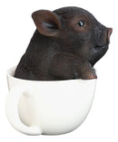 Rustic Lifelike Black Pig Piggy In Tea Cup Figurine Animal Farm Pigs Swine Decor