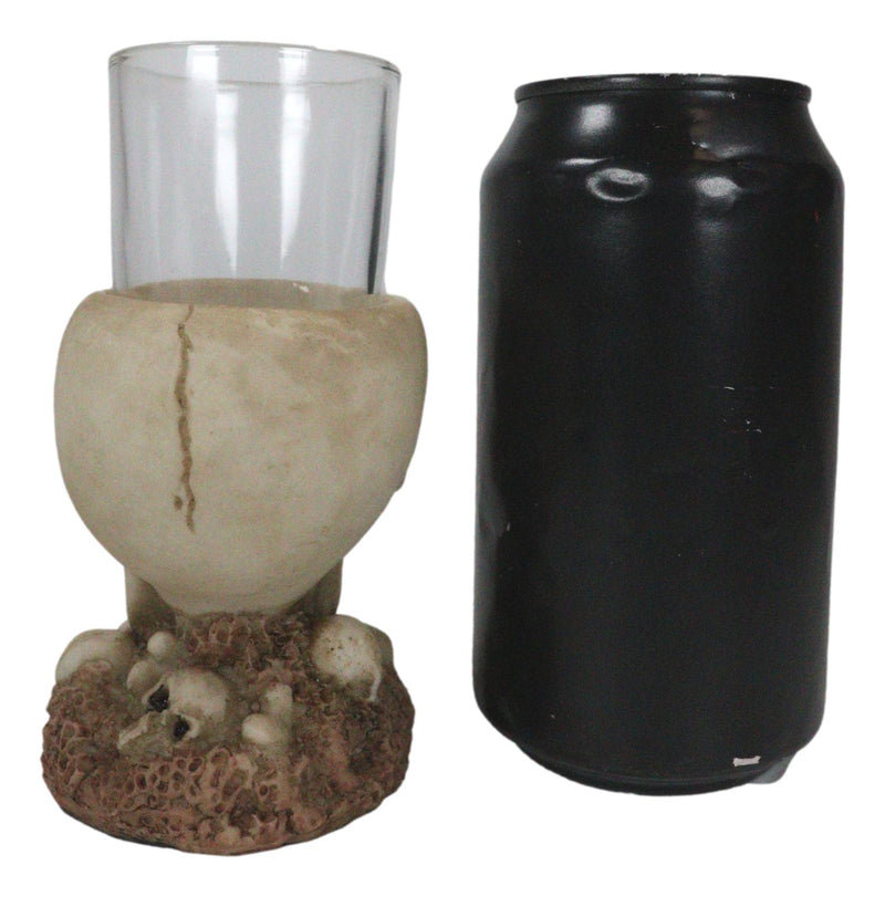 Grinning Giant Skull With Missing Tooth On Skulls Graveyard Shot Glass Shooter