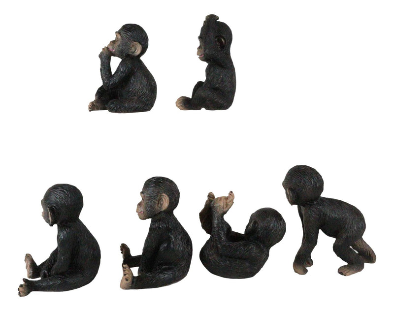 Ebros Whimsical Monkey See Monkey Do Set of 6 Chimpanzee Multi Pose Figurines