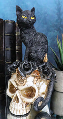 Gothic Black Feline Cat Sitting On Rose Vampire Skull Grimalkin's Ghost Figurine